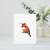 Rufous Hummingbird Postkarte (Stehend Vorderseite)