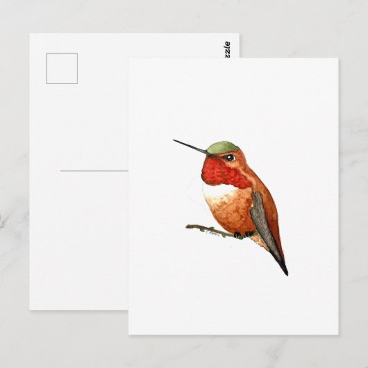 Rufous Hummingbird Postkarte (Vorne/Hinten)