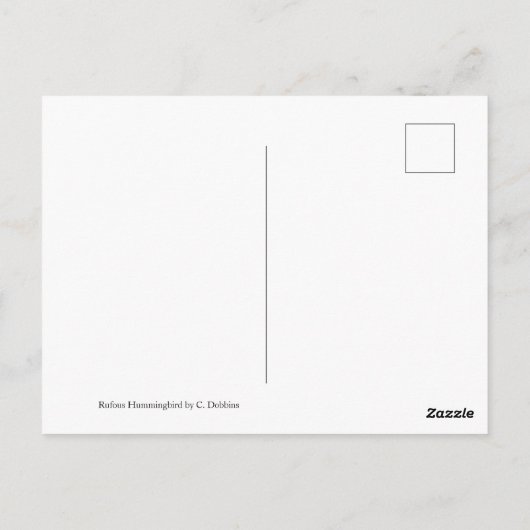 Rufous Hummingbird Postkarte (Rückseite)