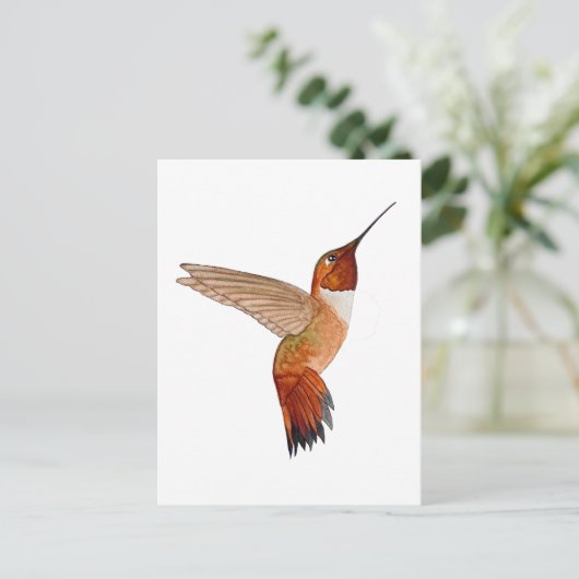 Rufous Hummingbird Postkarte (Stehend Vorderseite)