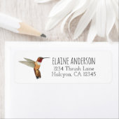 Rufous Hummingbird return address Label (Insitu)