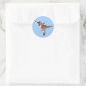Rufous Hummingbird Runder Aufkleber (Tasche)