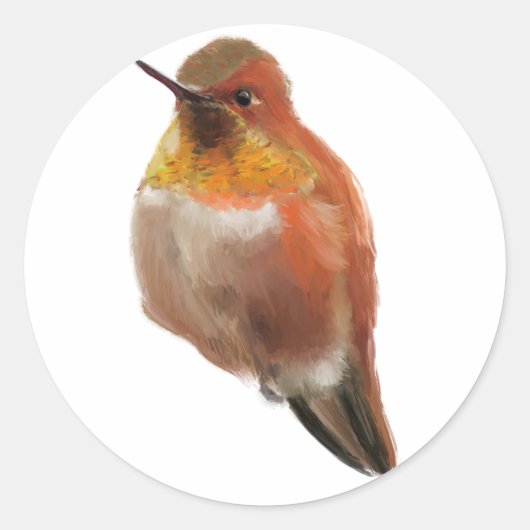 Rufous Hummingbird (Selasphorus rufus) Runder Aufkleber (Vorderseite)