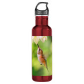 Rufous Hummingbird Sips Blueberry Blossom Nectar Edelstahlflasche (Vorderseite)