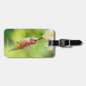 Rufous Hummingbird Sips Blueberry Blossom Nectar Gepäckanhänger (Vorderseite horizontal)