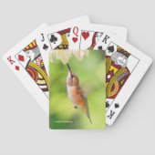 Rufous Hummingbird Sips Blueberry Blossom Nectar Spielkarten (Rückseite)