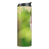 Rufous Hummingbird Sips Blueberry Blossom Nectar Thermosbecher (Nach links gedreht)