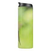 Rufous Hummingbird Sips Blueberry Blossom Nectar Thermosbecher (Nach rechts gedreht)