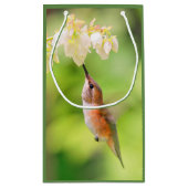 Rufous Hummingbird Sips Blueberry Blume Nectar Kleine Geschenktüte (Rückseite)