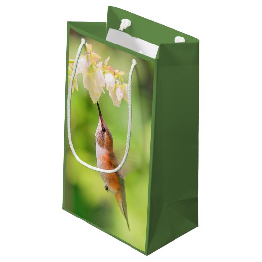 Rufous Hummingbird Sips Blueberry Blume Nectar Kleine Geschenktüte (Rückseite Schrägansicht)