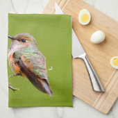 Rufous Hummingbird sitzt im kalifornischen Lilac Handtuch (Viertel Falte)