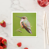 Rufous Hummingbird sitzt im kalifornischen Lilac Serviette (Beispiel)