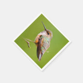 Rufous Hummingbird sitzt im kalifornischen Lilac Serviette (Ecke)