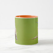 Rufous Hummingbird sitzt im kalifornischen Lilac Tasse (Zentrum)