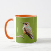 Rufous Hummingbird sitzt im kalifornischen Lilac Tasse (Links)