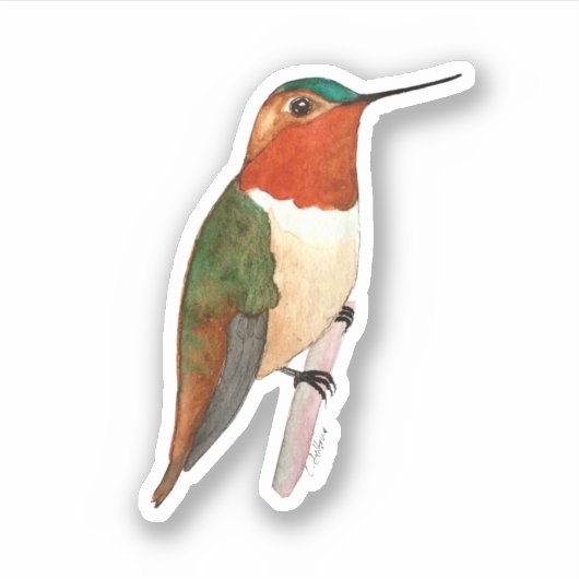 Rufous Hummingbird Sticker (Vorderseite)