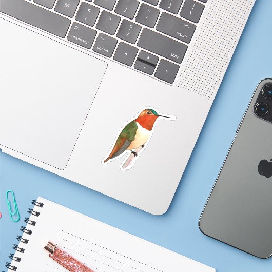 Rufous Hummingbird Sticker (Laptop mit iPhone)