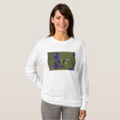 Rufous Hummingbird T-Shirt (Vorne ganz)