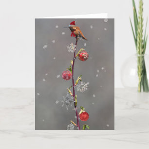 Rufous Hummingbird Weihnachtskarte Feiertagskarte