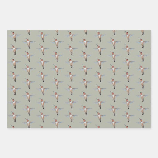 Rufous Hummingbirds Pattern Geschenkpapier Set (Vorderseite 2)