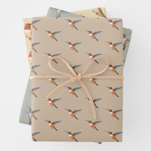 Rufous Hummingbirds Pattern Geschenkpapier Set (Beispiel)