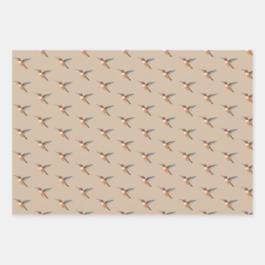 Rufous Hummingbirds Pattern Geschenkpapier Set (Vorderseite)