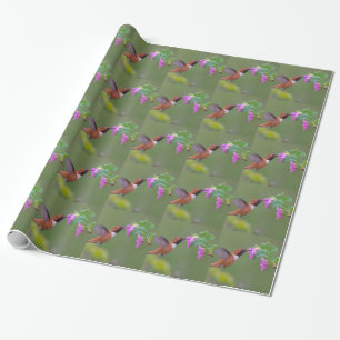 Rufous Kolibri auf wilder Rose Geschenkpapier