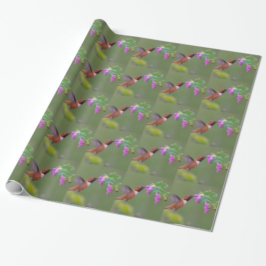 Rufous Kolibri auf wilder Rose Geschenkpapier (Ungerollt)