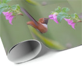 Rufous Kolibri auf wilder Rose Geschenkpapier (Rolleneckpunkt)