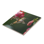 Rufous Kolibri, der auf einer Fuchsie füttert Fliese (Seite)