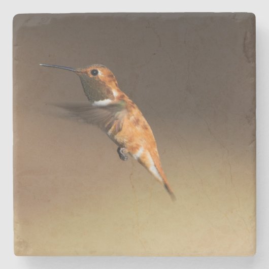Rufous Kolibri im Flug Steinuntersetzer (Vorderseite)