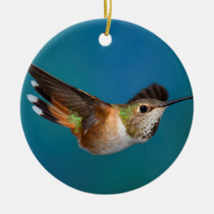 Rufous Kolibri Keramik Ornament