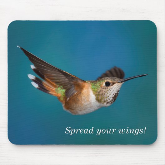 Rufous Kolibri Mousepad (Vorne)