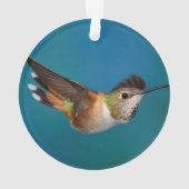 Rufous Kolibri Ornament (Rückseite)