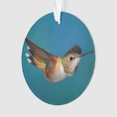 Rufous Kolibri Ornament (Vorderseite)