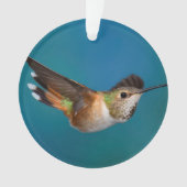 Rufous Kolibri Ornament (Vorderseite)