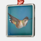 Rufous Kolibri Ornament Aus Metall (Links)