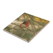Rufous Kolibri-Sitzen Fliese (Seite)