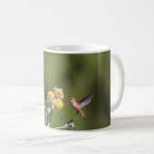 Rufous Kolibri-Tasse Kaffeetasse (VorderseiteRechts)