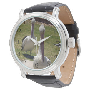 Ruftgemachte Federn: Pelikane mit einer bestimmten Armbanduhr