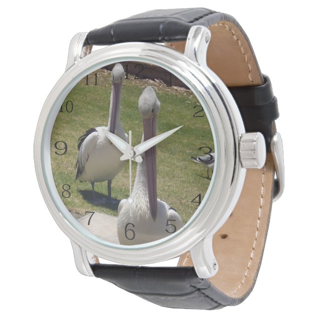 Ruftgemachte Federn: Pelikane mit einer bestimmten Armbanduhr (Schrägansicht)