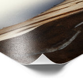 Rufus - Ein bezaubernder roter Panda Fotodruck (Ecke)