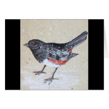 Rufus Sided Towhee