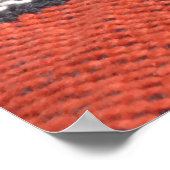 Rug Richness: Mexican Peruvian Textures Poster (Ecke)