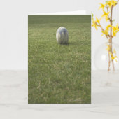 Rugby Karte (Gelbe Blume)