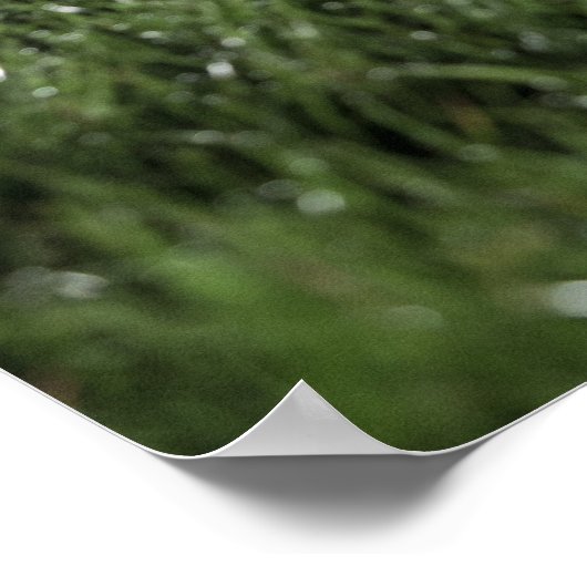 Rugby-Kugel auf dem Grasfeld eines Poster (Ecke)