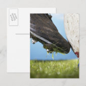 Rugby-Spieler Kickball off tee, nah aus Postkarte (Vorne/Hinten)