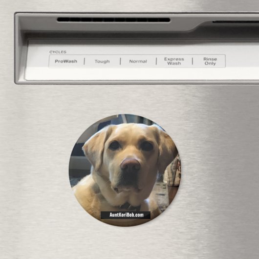 Ruger August 2020 Magnet (In Situ (Geschirrspüler))