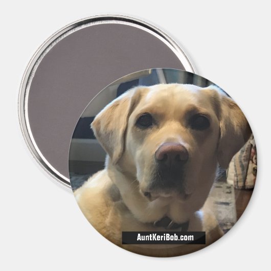 Ruger August 2020 Magnet (Vorderseite/Rückseite)