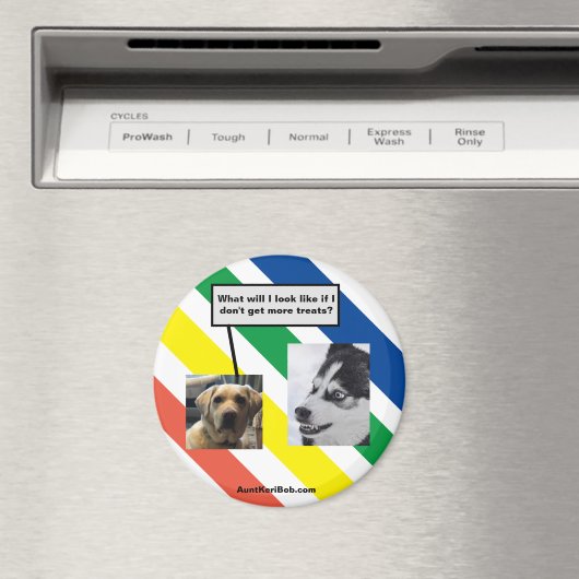 Ruger in the future magnet (In Situ (Geschirrspüler))